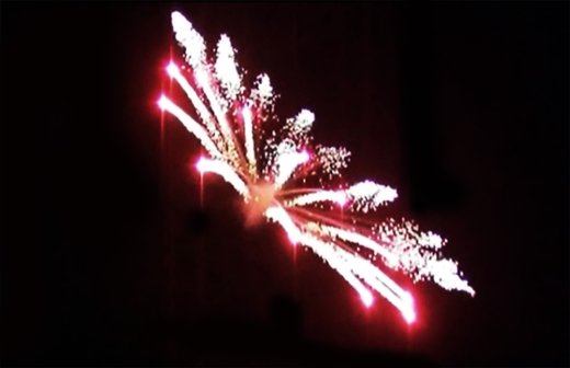 Italienische Feuerblume 5&quote;