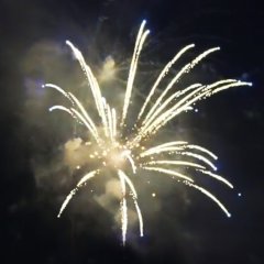 Blue Cycas Palm with Golden Glittering 3&quote;