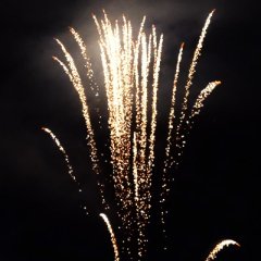 Brocade Crown Mines, 1,9''