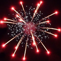 Coconut & Ice 5&quote;