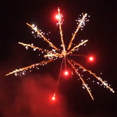 Colorful Taifun Palms