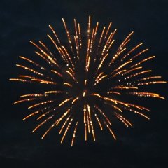 Flower Wave Crown 2,5&quote;