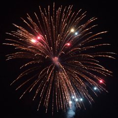 Fresh Color King-Willow 6&quote;