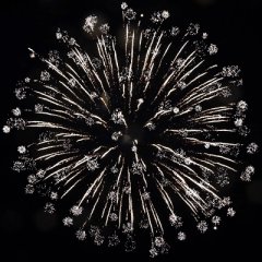 Glory Light Chrysantheme 5&quote;