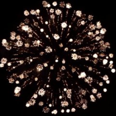 Glory Light Crysantheme 4&quote;