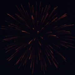 Gold Kamuro 6&quote;