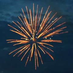 Golden Titanium Willow with Green Glittering 2,5&quote;