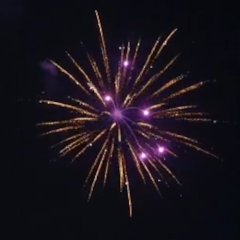 Golden Titanium Willow with Purple Dahlia Pistil 3&quote;