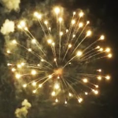 Lemon Strobe Peony 3&quote;