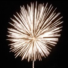 Löwenzahnbombe 4&quote;