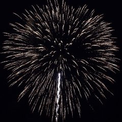 Löwenzahnbombe 5&quote;