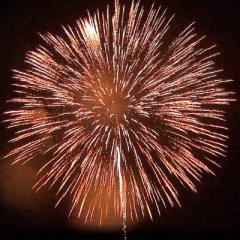 Löwenzahnbombe 6&quote;