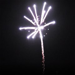 Palm Spring 3&quote;