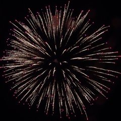 Purple Lion 6&quote;