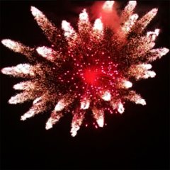 Red Center Farfalle 5&quote;