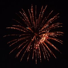 Red Diamond Shining Willow 3&quote;