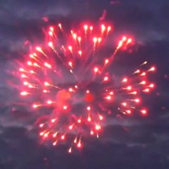 Red Strobe Peony 2,5&quote;