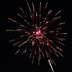 Scream Dream (6er Schachtel)