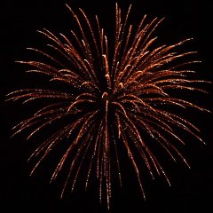 Shining Titanium Willow 5&quote;