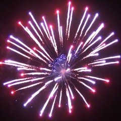 Silver Eagle 6&quote;