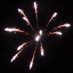 Spidershell 3&quote;