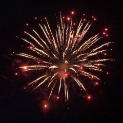 Super Assorted I 5&quote;