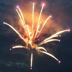 Violet Cycas Palm with Orange Glittering 2,5&quote;