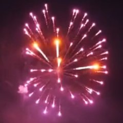 Violet Peony with Gold Coco Pistil 2,5&quote;