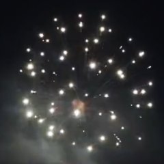 White Strobe Peony 2,5&quote;