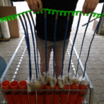 Easy Way System 6